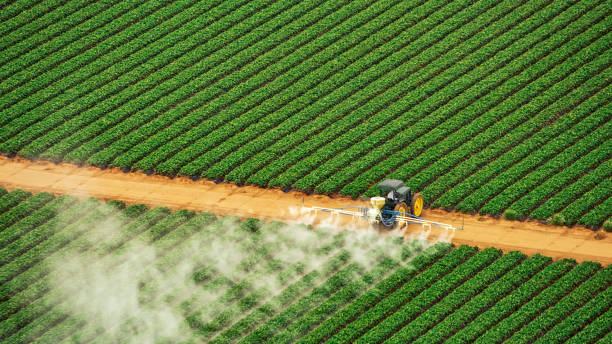 Best Pest Control for Businesses  in USA